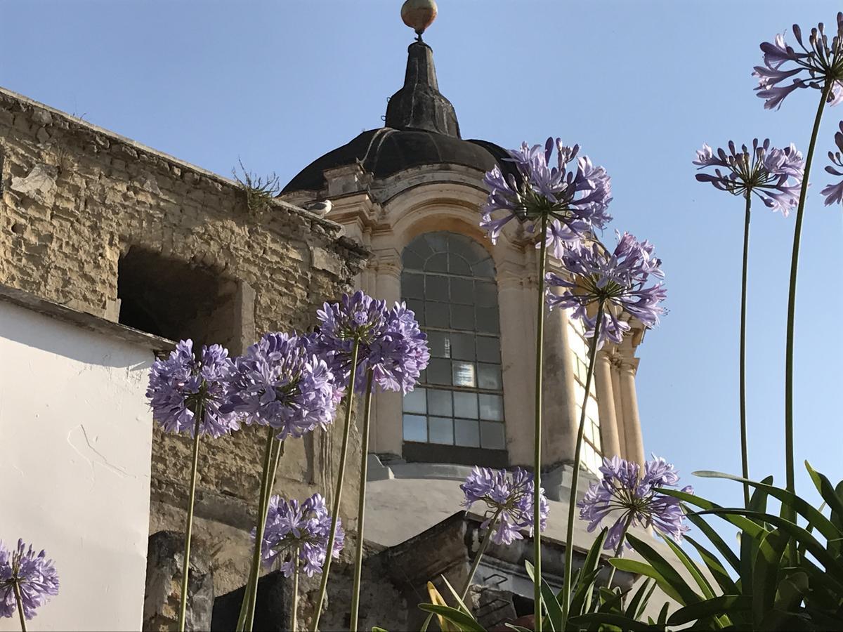 B&B La Terrazza Napoli Zewnętrze zdjęcie